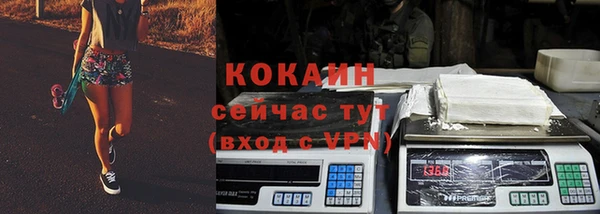 дживик Надым