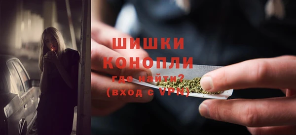 дживик Надым