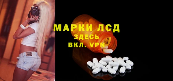 дживик Надым