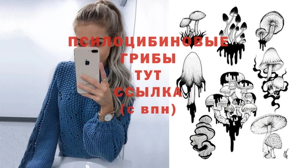 дживик Наволоки