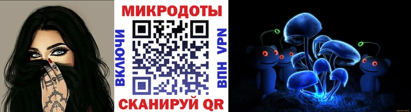 blacksprut зеркало  где можно купить   Фокино  Галлюциногенные грибы Psilocybe 